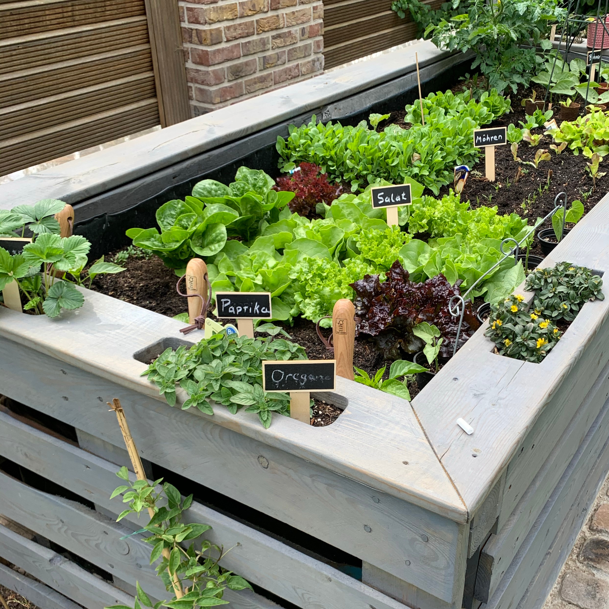 A Raised-bed garden